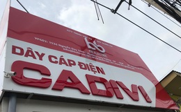 Cadivi (CAV): Lãi quý 1 tăng mạnh 70% so với cùng kỳ lên gần 95 tỷ đồng