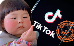 TikTok vừa &quot;lập đỉnh&quot;, kỷ lục cao nhất mọi thời đại, đây là gì?