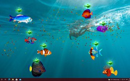 Biến màn hình máy tình thành bể cá ảo với Virtual Aquarium, miễn phí 100%