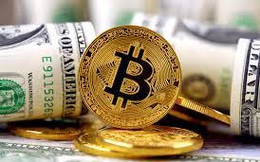 USD đạt “đỉnh” 2 năm sau biên bản cuộc họp của Fed, Bitcoin giảm sâu, vàng đi ngang