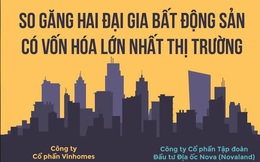 Novaland mở rộng quỹ đất nhờ M&A, Vinhomes đa dạng hoá kinh doanh để gia tăng nguồn thu bền vững