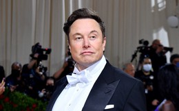 Elon Musk cũng chơi Elden Ring, hãy cùng phân tích nhân vật và lối chơi của game thủ tỷ phú