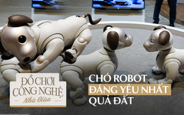 Khám phá chú chó robot Sony Aibo, món đồ chơi có giá 70 triệu mà mọi đứa trẻ đều mơ ước!