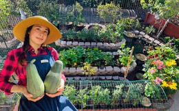 Nhớ quê da diết, nữ Việt kiều chi gần 500 triệu, tự đào ao, bê gạch làm vườn đẹp như tranh