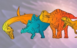 Các manh mối hóa học tiết lộ tốc độ trao đổi chất của các loài khủng long: Tyrannosaurus rex máu nóng, Stegosaurus máu lạnh!