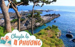 Hòn đảo kỳ lạ, cứ 6 tháng lại đổi quốc tịch 1 lần: Ai cũng muốn nhập tịch để &quot;tận hưởng&quot; nhiều ưu ái nhưng đến nay vẫn chưa có du khách nào được đặt chân tới