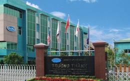 Gỗ Trường Thành (TTF): Hoàn tất câu chuyện cũ qua giao dịch bồi thường của ông Võ Trường Thành