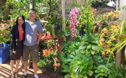 Khu vườn 700m2 với hơn 200 loại hoa quỳnh, lan ở Úc của người đàn ông Việt