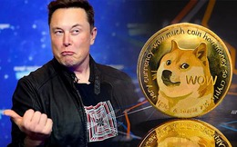 Elon Musk bị kiện tại Mỹ vì liên quan đến Dogecoin