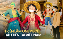 Đau đầu không biết dẫn các bé đi đâu cho mới lạ, thử đến ngay triển lãm One Piece - nơi trưng bày các nhân vật đã quá quen thuộc với mọi lứa tuổi!