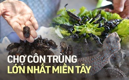 Độc đáo chợ côn trùng lớn nhất miền Tây và sự thật về lời đồn &quot;xuân dược&quot;