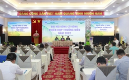 Đạm Phú Mỹ (DPM): Không đầu tư vào bất động sản, cổ đông quan tâm khoản đầu tư hàng trăm tỷ chưa thể thu hồi tại Oceanbank, PVFI