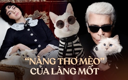 &quot;Hoàng hậu” mèo nhà Chanel: Có người hầu kẻ hạ, ở villa hạng sang, vẫn kiếm được tiền tỷ sau khi chủ nhân qua đời