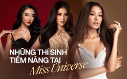 Dàn thí sinh nổi bật tại Miss Universe Việt Nam: Thảo Nhi Lê gây bão, lộ loạt nhân tố hứa hẹn bùng nổ