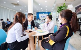 Bỏ việc vì nghe lời rủ rê của môi giới đất: "Tháng có trăm triệu, chẳng mấy chốc là giàu"