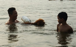 Hà Nội: Người lớn, trẻ nhỏ mang theo thú cưng xuống bơi ở hồ Linh Đàm bất chấp biển cảnh báo nguy hiểm