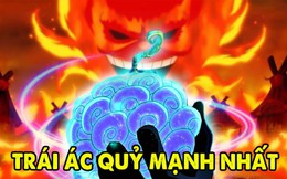 One Piece: 12 trái ác quỷ có năng lực cực khủng, ai sở hữu cũng trở thành nhân vật có số má (P.2)