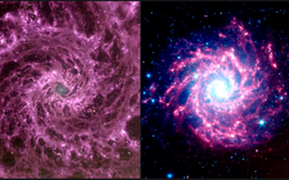 Kính viễn vọng Không gian James Webb &quot;tình cờ&quot; phát hiện vòng xoáy bí ẩn của thiên hà màu tím trong vũ trụ của chúng ta!
