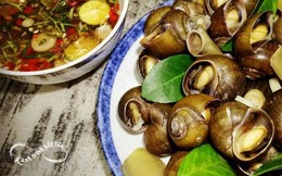 Loạt món ăn &quot;khá lạ&quot; khiến khách Tây phấn khích với 1 loại, bất ngờ sau lần thử đầu tiên!