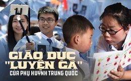 Giáo dục &quot;luyện gà&quot; của phụ huynh Trung Quốc: Khiến con mất hết thanh xuân liệu có giúp chúng &quot;hóa phụng thành rồng&quot;?