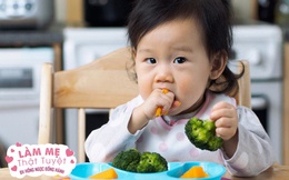 So sánh 3 phương pháp ăn dặm phổ biến nhất cho trẻ hiện nay, bác sĩ Nhi hướng dẫn cách chọn và lên thực đơn ăn dặm ''chân ái'' cho bé