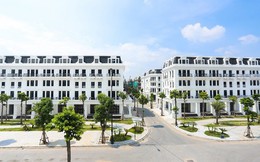 Louis City Hoàng Mai: "Bộ sưu tập" shophouse hàng hiệu của giới đầu tư