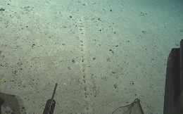 Các nhà khoa học bối rối trước những hố bí ẩn liên tục tìm thấy dưới đáy Đại Tây Dương sâu thẳm