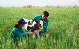 Bố mẹ đau đầu khi các em bé đòi đi nghỉ dưỡng ở 1 nơi quá đặc biệt