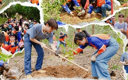 Hành trình “AhaForest: Giao đơn nhỏ, gieo mầm xanh”: Khi ý nghĩa lớn lao được tạo ra từ những điều nhỏ bé