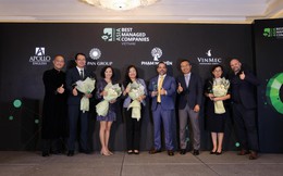 Trung tâm tiếng Anh Apollo English nhận danh hiệu quốc tế 2 năm liên tiếp từ Deloitte