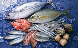 Ngành thủy sản tiếp tục tăng trưởng mạnh trong quý 3, nhóm xuất khẩu cá tra có thể đột biến