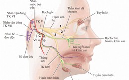 Liệt dây thần kinh số 7: Chuyên gia chỉ ra nguyên nhân, cách phòng ngừa