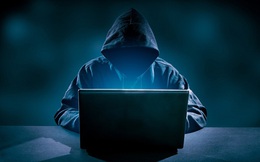 Bán công cụ hack từ năm 15 tuổi, tin tặc bị bắt sau một thập kỷ ẩn náu