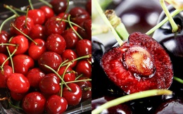 Lương y Bùi Đắc Sáng chỉ ra phần &quot;nguy hiểm&quot; của quả cherry cần lược bỏ khi ăn kẻo rước độc, hại sức khỏe