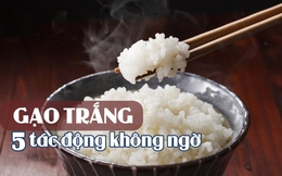 5 tác động không ngờ khi bạn ăn gạo trắng mỗi ngày: Cần lưu ý 2 điểm sau
