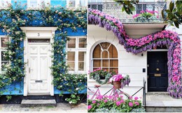 Tản mạn khắp London, nhiếp ảnh gia chụp bộ ảnh với những cánh cửa thơ mộng như lạc vào thế giới cổ tích