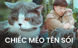 Hành trình 2 chú mèo tinh nghịch cùng cậu chủ làm nội dung trên MXH 