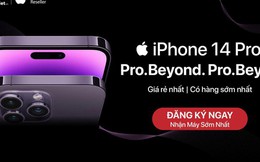 iPhone 14 màu tím thu hút những người làm tài chính