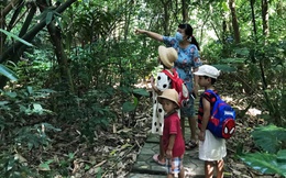 Khám phá Bảo tàng rừng Việt Nam cùng trải nghiệm vườn thực vật quý hiếm của thiên nhiên tuyệt diệu