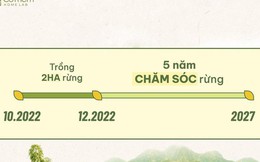 Cỏ Mềm "bắt tay" cùng Hạnh Phúc Xanh trồng 2 hecta rừng ở Ninh Thuận