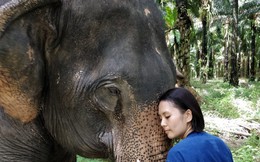 Hành trình xúc động giải cứu &quot;chú voi cô độc nhất thế giới&quot;: Sống mòn trong dây xích!
