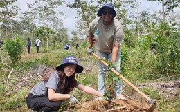 BAT Việt Nam và Gaia cùng triển khai các dự án trồng rừng