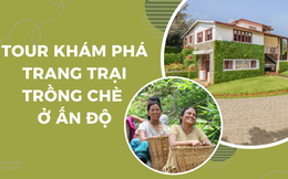 Ấn tượng tour du lịch trải nghiệm tại trang trại trồng chè ở Ấn Độ

