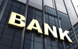 Top 10 ngân hàng có "bộ đệm" phòng thủ nợ xấu dày nhất
