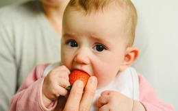 Những vấn đề thường gặp khi bé ăn dặm và cách bố mẹ nên làm để biến việc ăn uống trở thành niềm vui