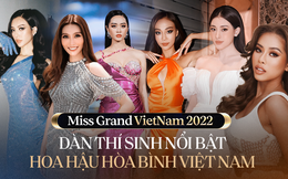 Sắc vóc và học vấn dàn thí sinh Hoa hậu Hòa bình Việt Nam: Người làm CEO tuổi 27, người thành tích đáng nể