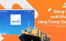 SUTECH đồng hành cùng doanh nghiệp xuất khẩu nông sản sang Trung Quốc