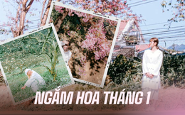 Đầu năm đi &quot;săn hoa nở&quot; tại các vùng núi xinh đẹp, toàn những loài hoa khiến dân tình chờ cả năm để được chụp hình 