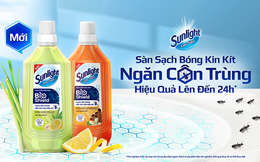 Soi cơ chế hoạt động của Probiotics trong nước lau sàn để hiểu cách màn chắn sinh học BIOSHIELD ngăn côn trùng trên sàn nhà 