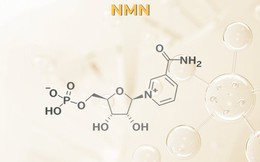 Sản phẩm chứa NMN có phải bí quyết trẻ hóa da như lời đồn?